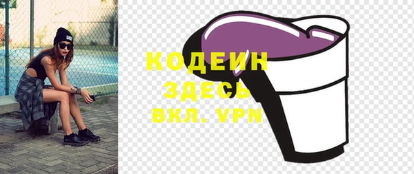 индика Горнозаводск