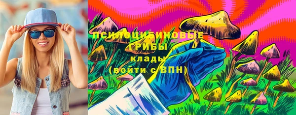 индика Горнозаводск