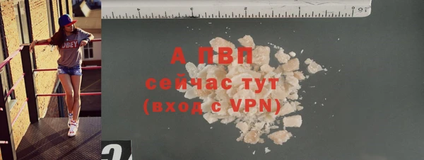 шишки Горно-Алтайск
