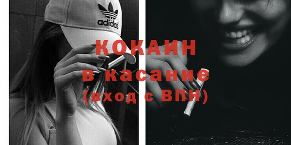 индика Горнозаводск