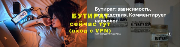 индика Горнозаводск