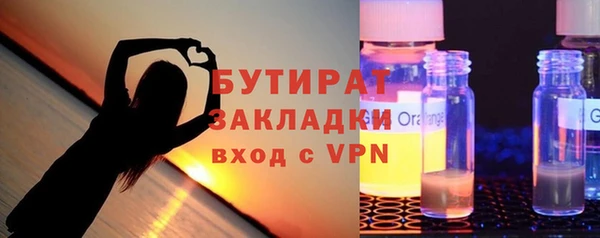 индика Горнозаводск