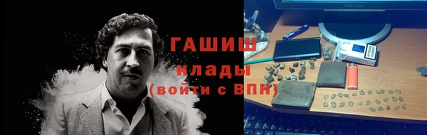 шишки Горно-Алтайск
