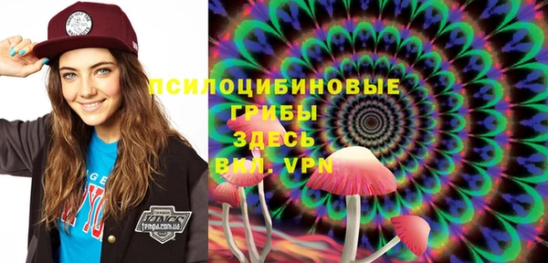 шишки Горно-Алтайск