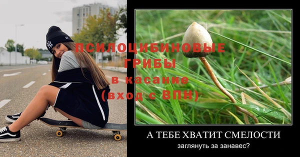 метадон Горняк