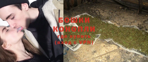 индика Горнозаводск