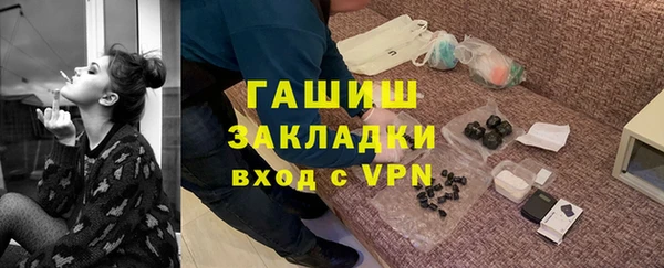 шишки Горно-Алтайск