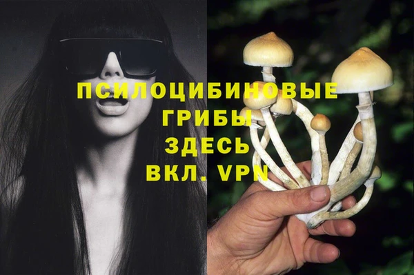 шишки Горно-Алтайск