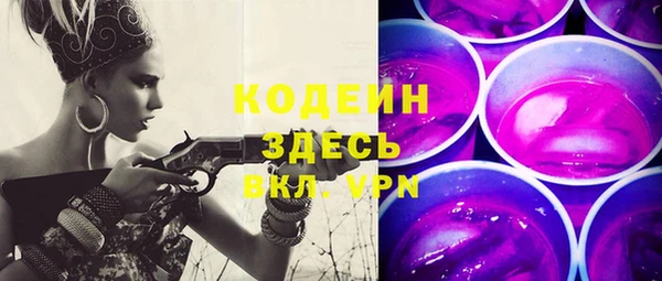 ECSTASY Гусь-Хрустальный