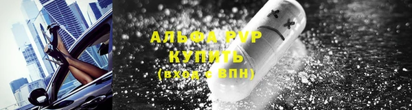 шишки Горно-Алтайск